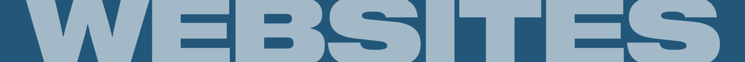 WEBSITE BANNER(1)