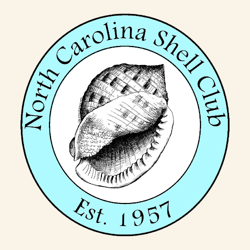 ncshellclub.org